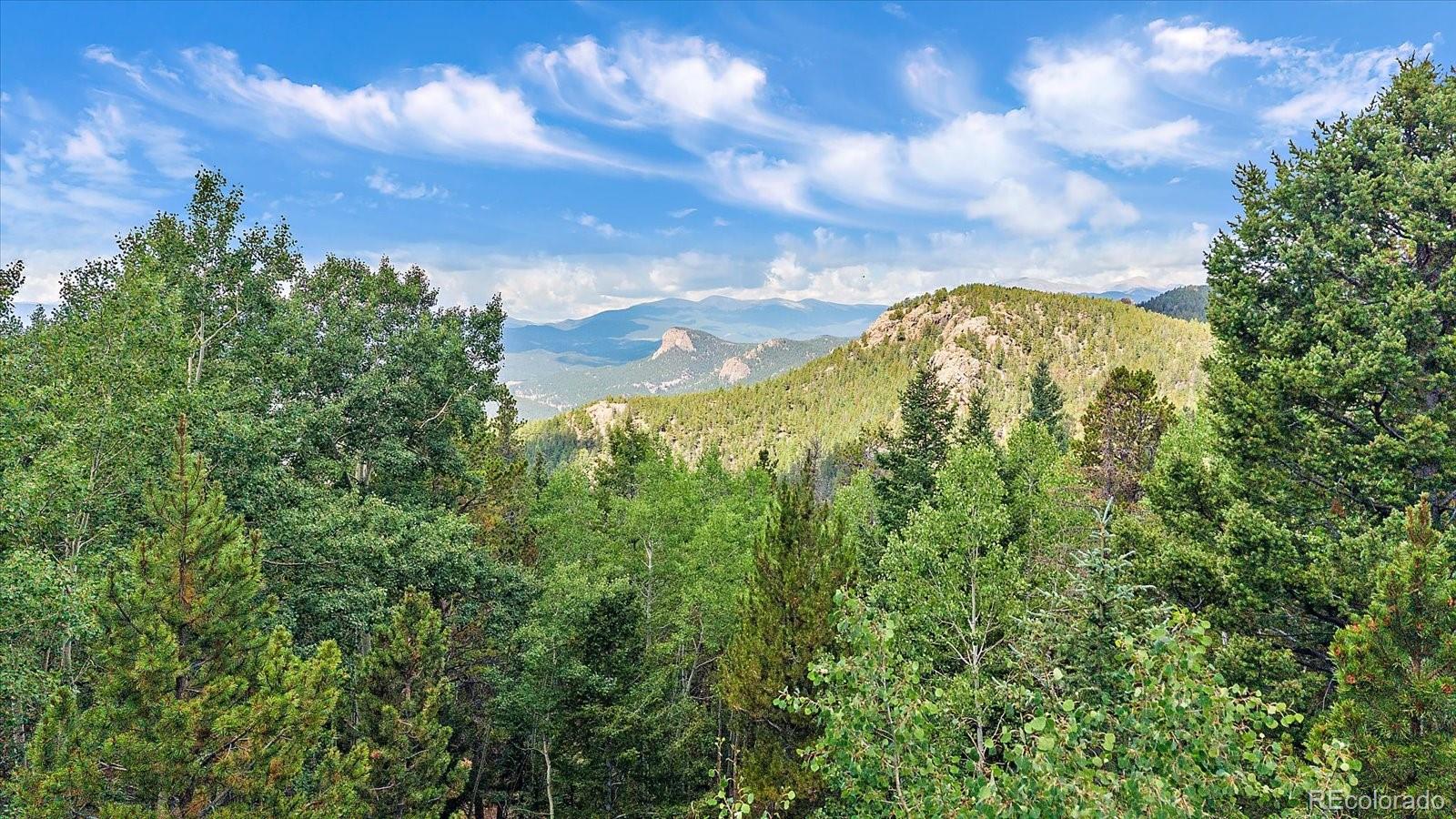MLS Image #29 for 11471  marks drive,conifer, Colorado