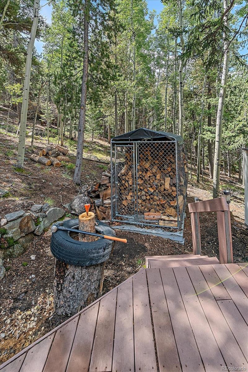 MLS Image #4 for 11471  marks drive,conifer, Colorado
