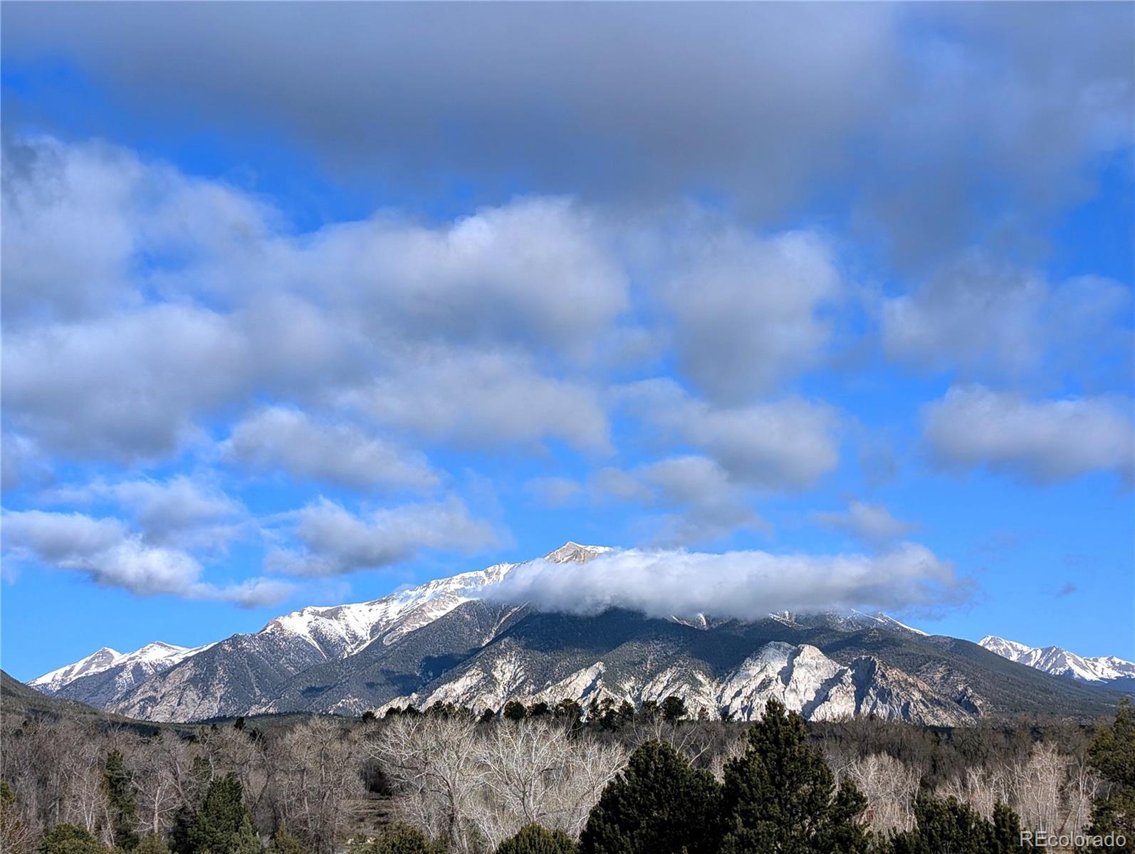 MLS Image #35 for 13288  county road 261p ,nathrop, Colorado