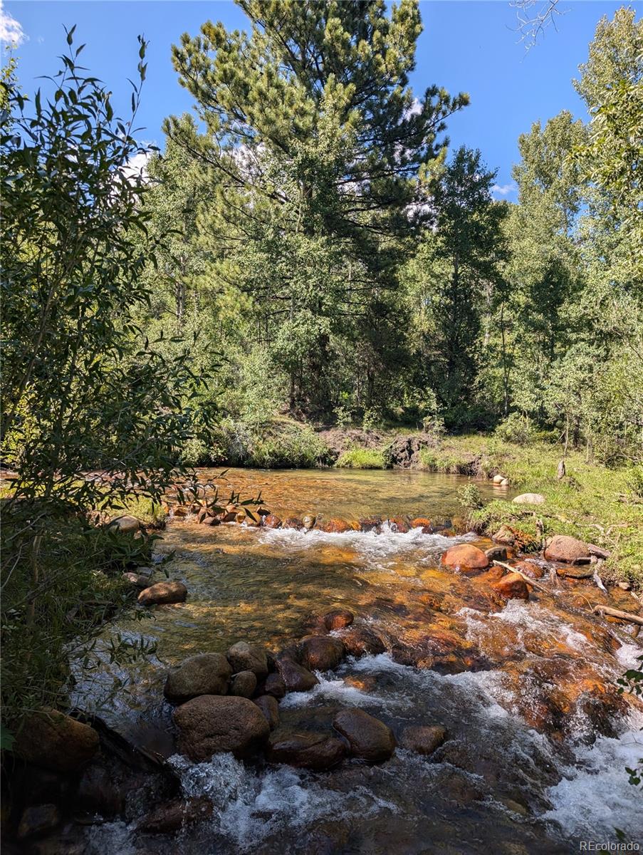 MLS Image #5 for 13288  county road 261p ,nathrop, Colorado