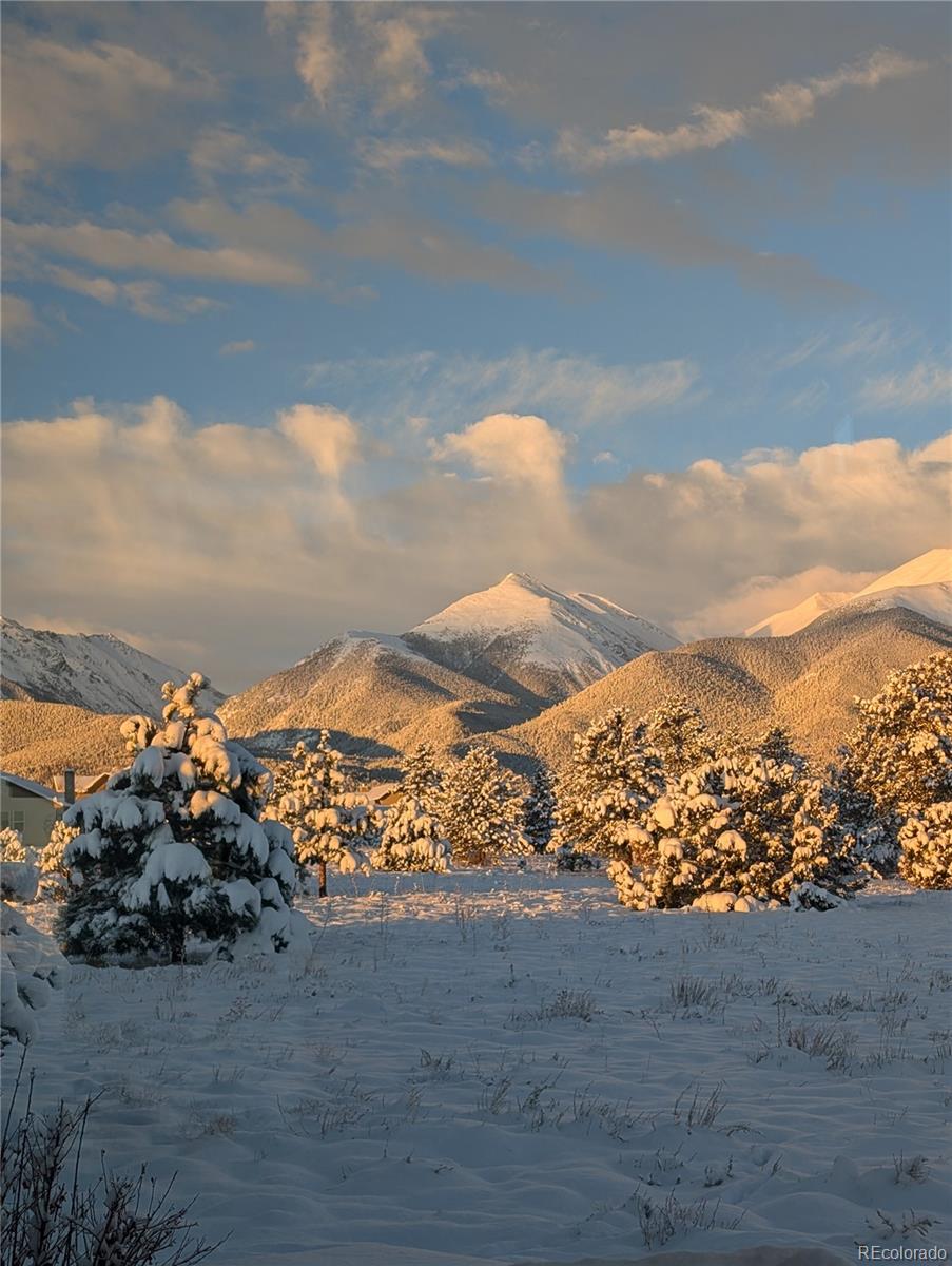 MLS Image #7 for 13288  county road 261p ,nathrop, Colorado