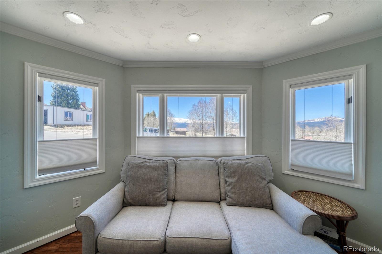 MLS Image #13 for 1012  harrison avenue,leadville, Colorado