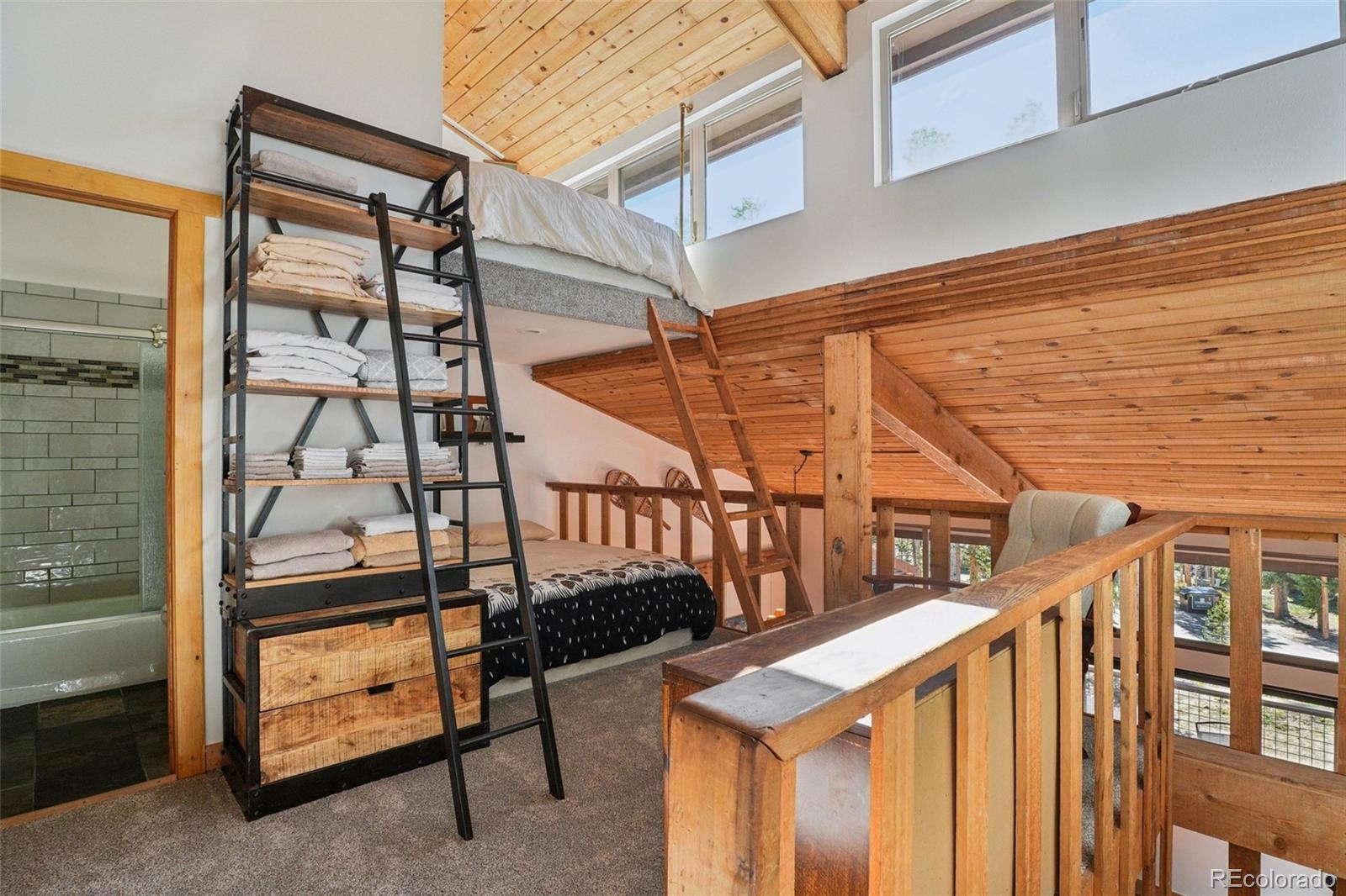 MLS Image #16 for 166 s fuller placer road,breckenridge, Colorado