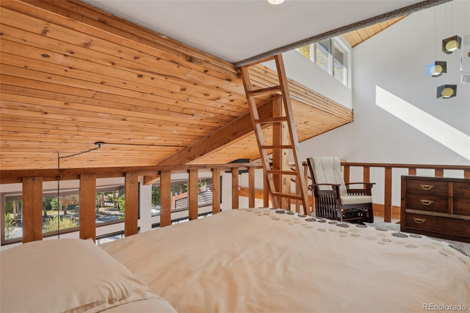 MLS Image #17 for 166 s fuller placer road,breckenridge, Colorado