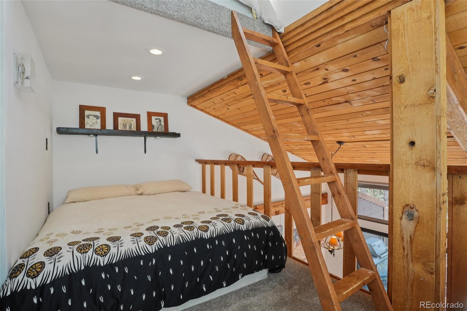 MLS Image #18 for 166 s fuller placer road,breckenridge, Colorado