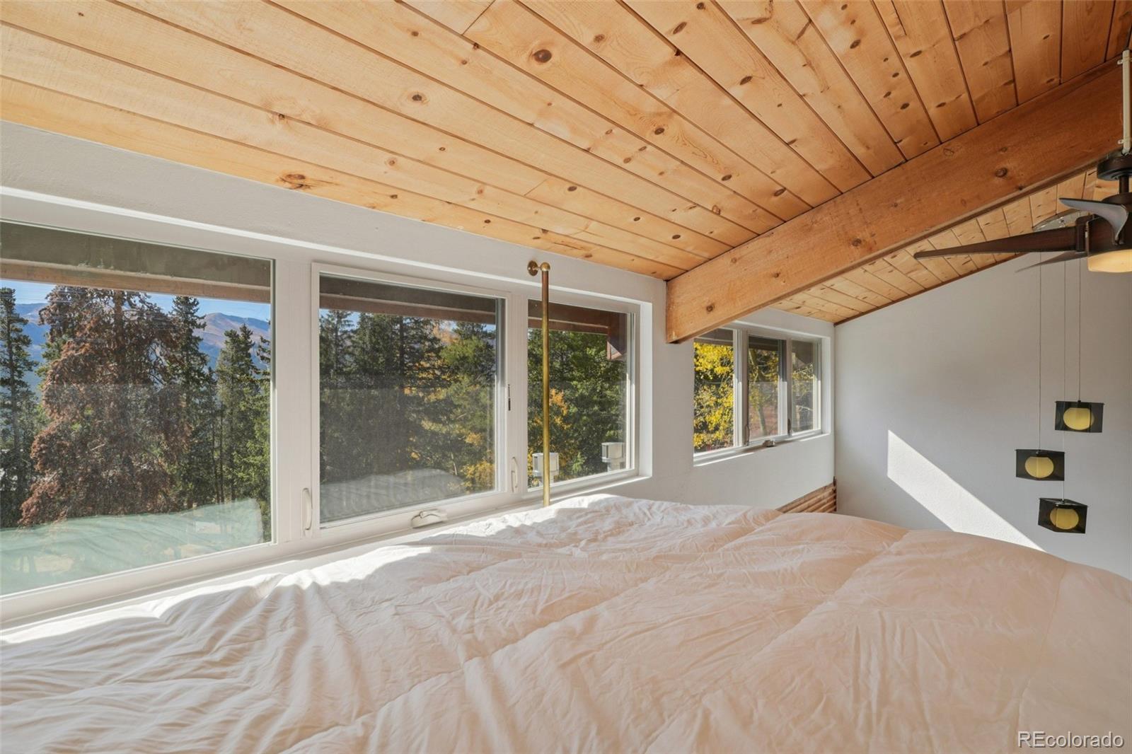 MLS Image #19 for 166 s fuller placer road,breckenridge, Colorado