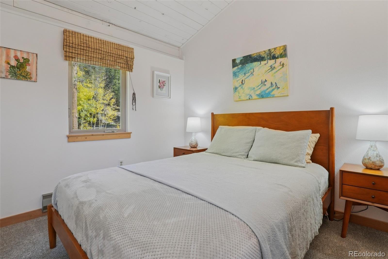 MLS Image #23 for 166 s fuller placer road,breckenridge, Colorado