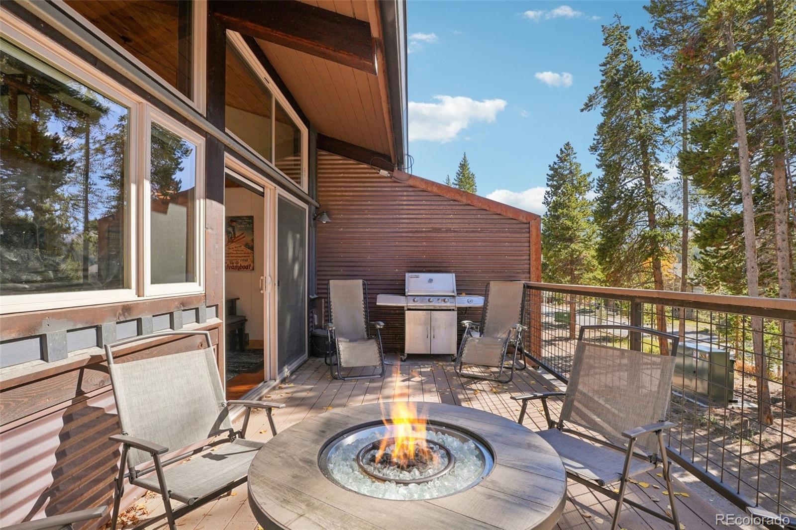 MLS Image #26 for 166 s fuller placer road,breckenridge, Colorado