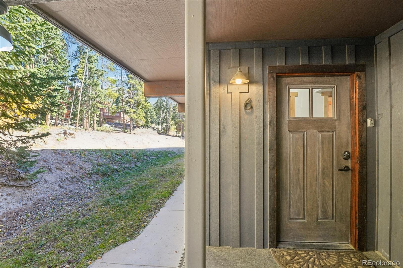 MLS Image #28 for 166 s fuller placer road,breckenridge, Colorado