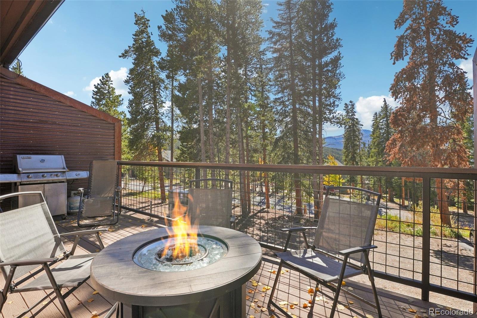 MLS Image #6 for 166 s fuller placer road,breckenridge, Colorado