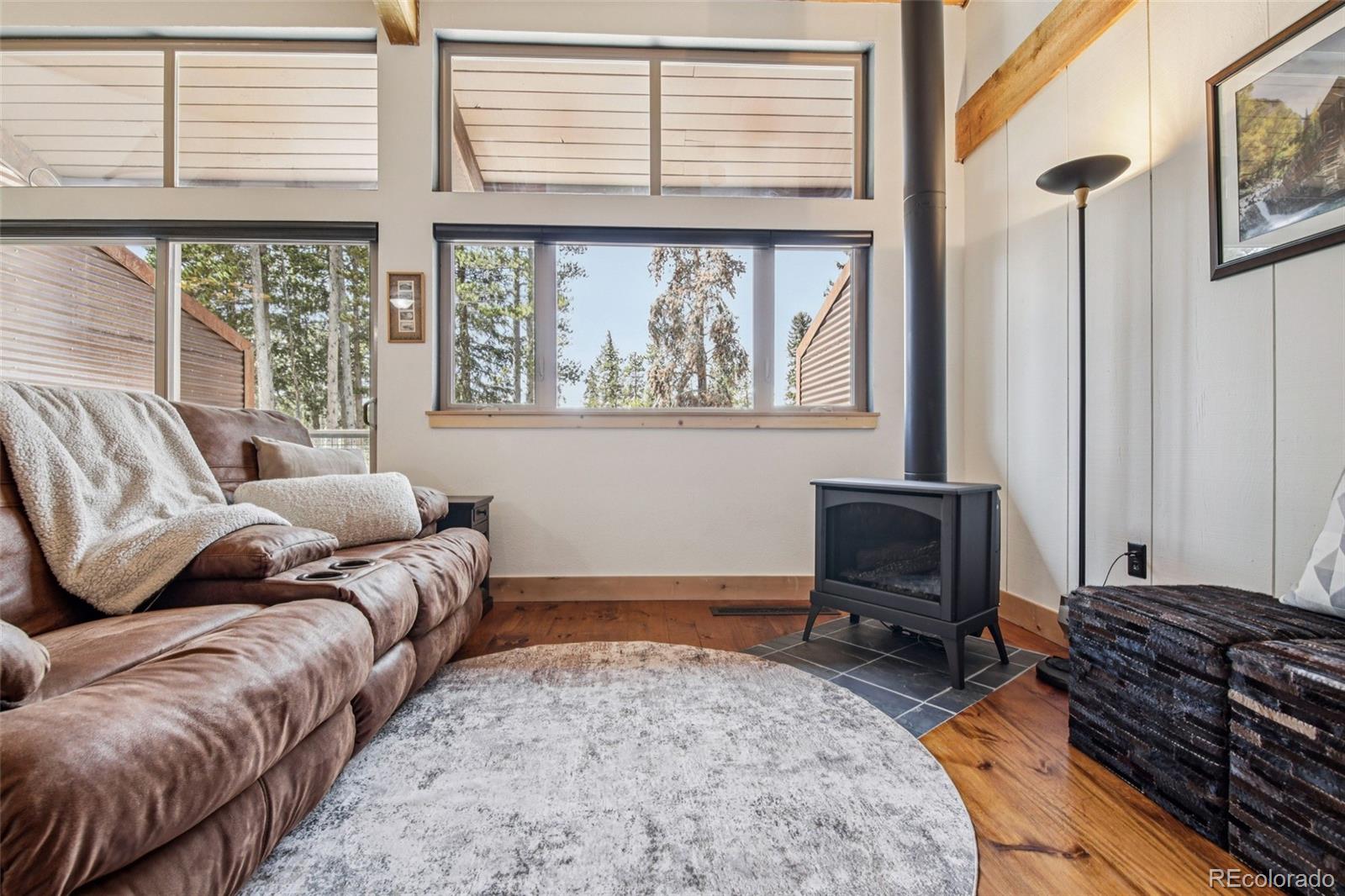 MLS Image #8 for 166 s fuller placer road,breckenridge, Colorado
