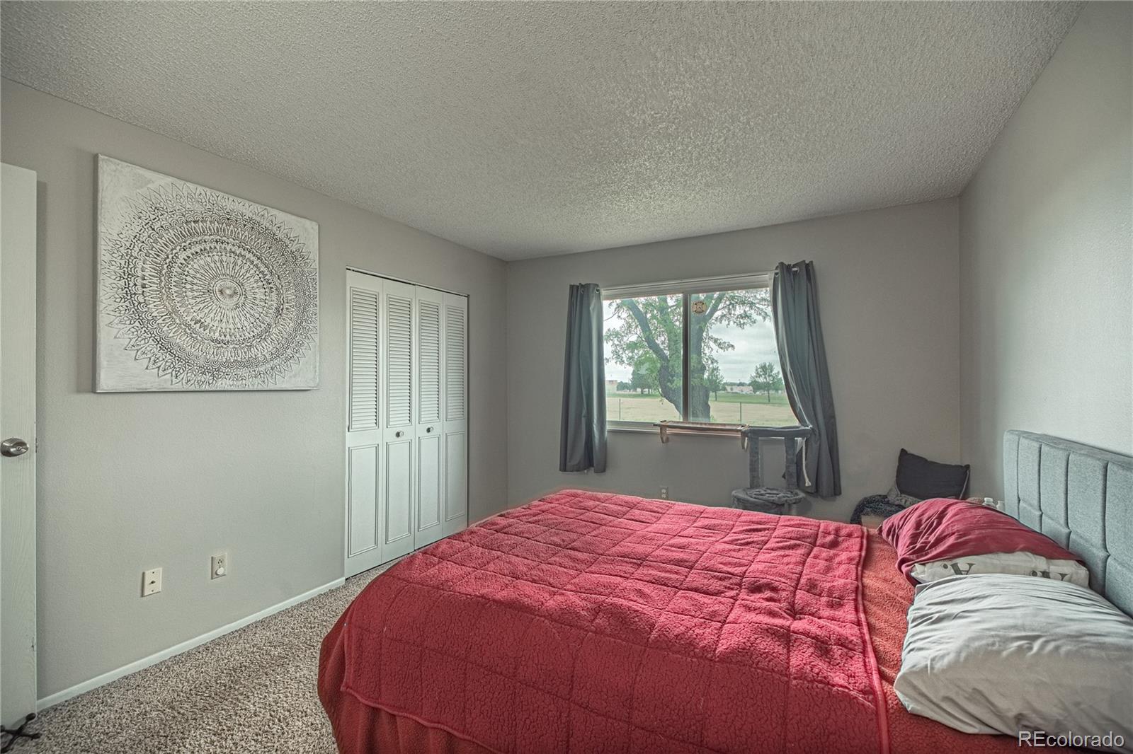 MLS Image #11 for 7509  fortman avenue,fountain, Colorado