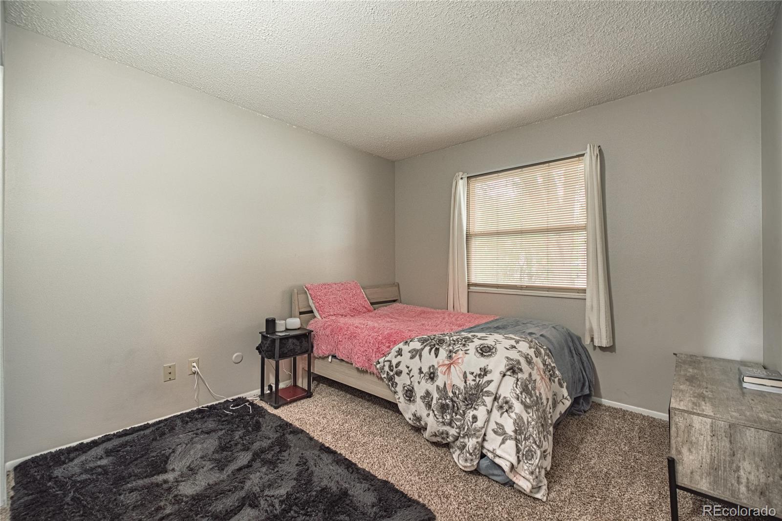 MLS Image #12 for 7509  fortman avenue,fountain, Colorado
