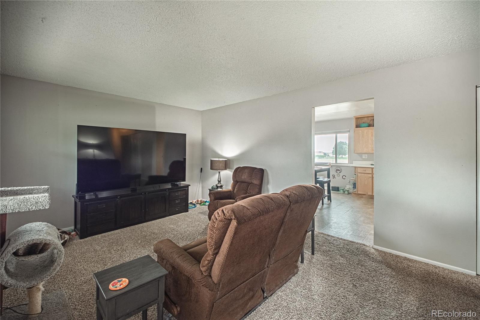 MLS Image #29 for 7509  fortman avenue,fountain, Colorado