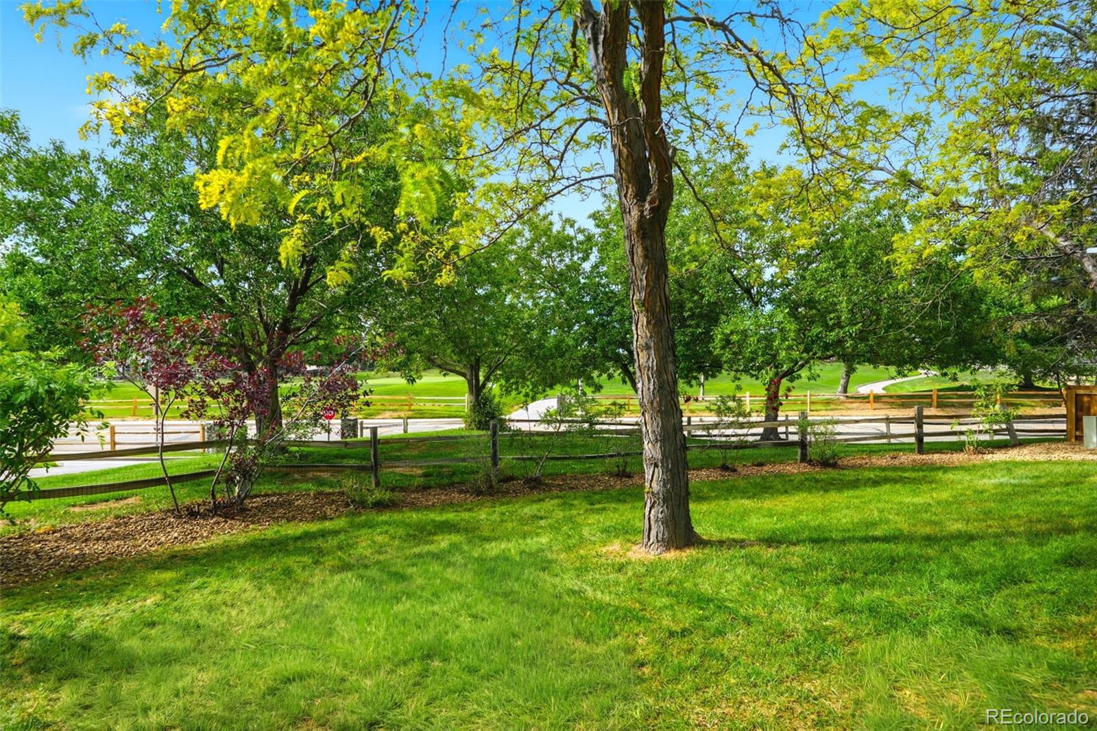 MLS Image #12 for 13385  franklin street,thornton, Colorado