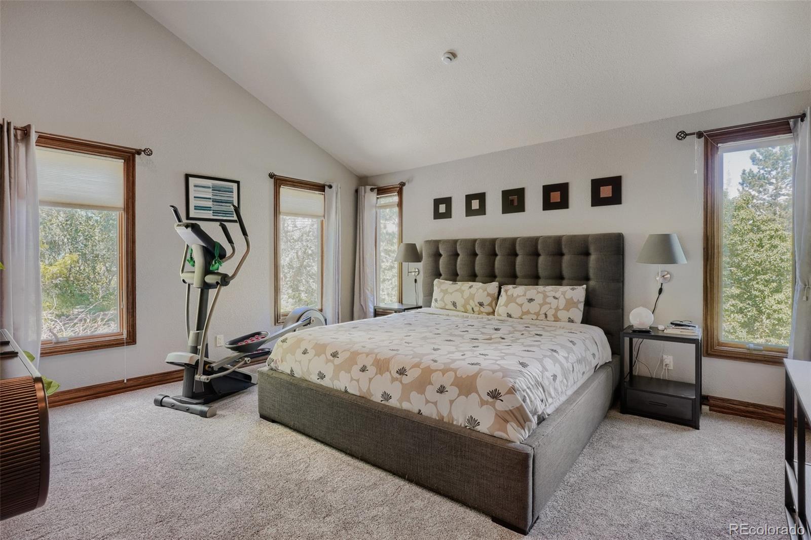 MLS Image #22 for 7573 s mount zirkel ,littleton, Colorado