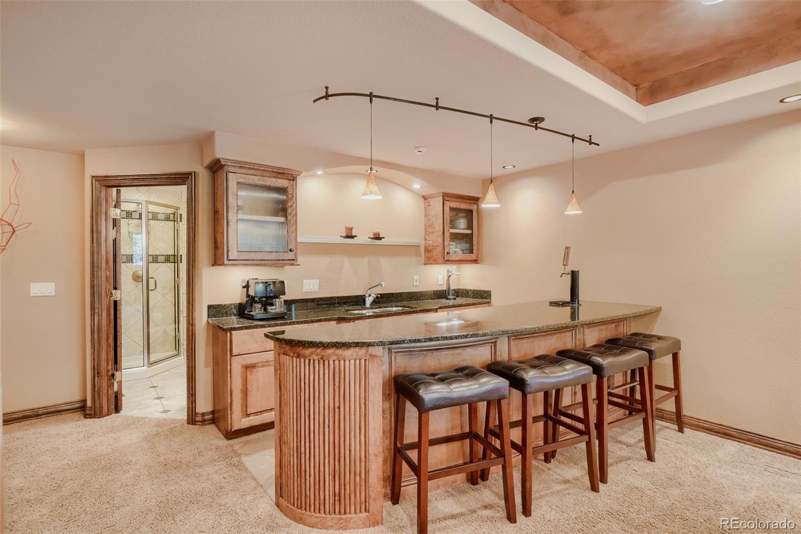 MLS Image #29 for 7573 s mount zirkel ,littleton, Colorado