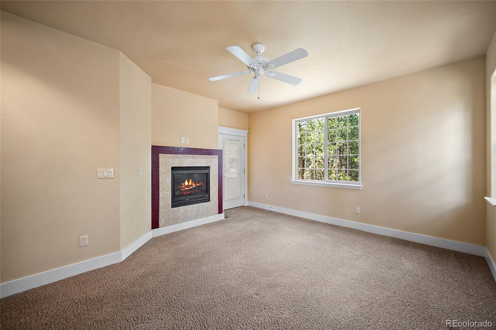 MLS Image #14 for 1497  shady glen lane,monument, Colorado