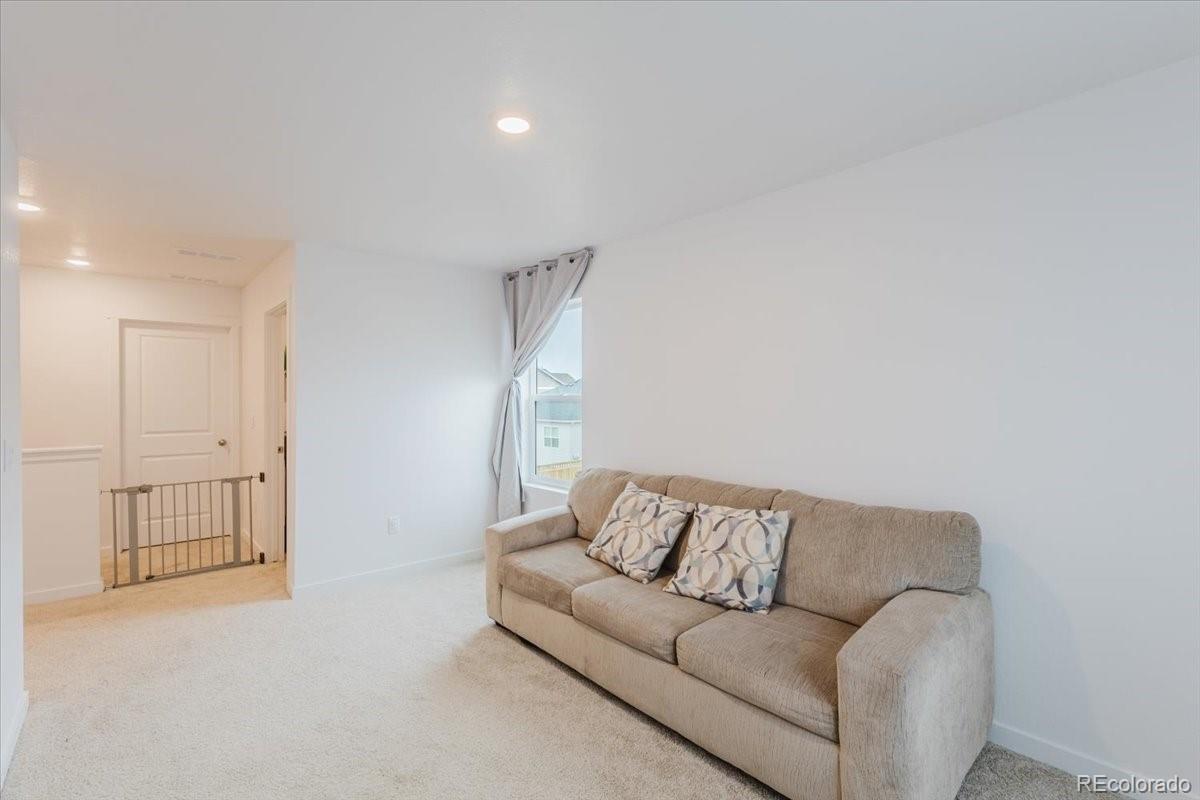 MLS Image #20 for 1606  plata street,lochbuie, Colorado