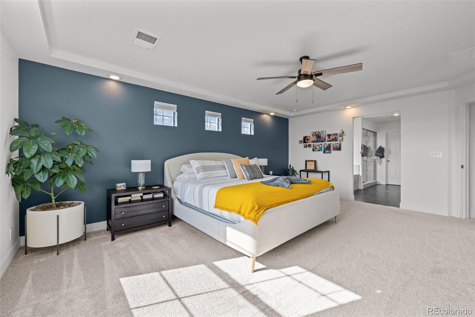 MLS Image #24 for 4984  jericho street,denver, Colorado
