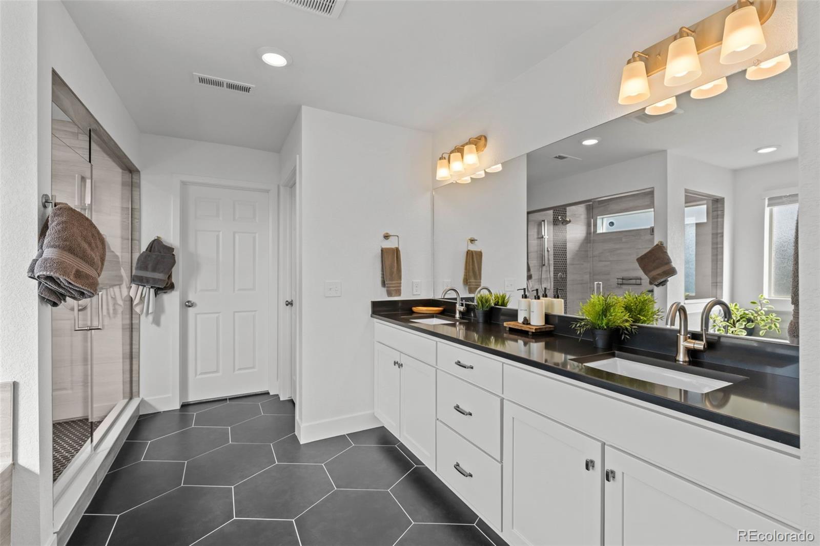 MLS Image #26 for 4984  jericho street,denver, Colorado