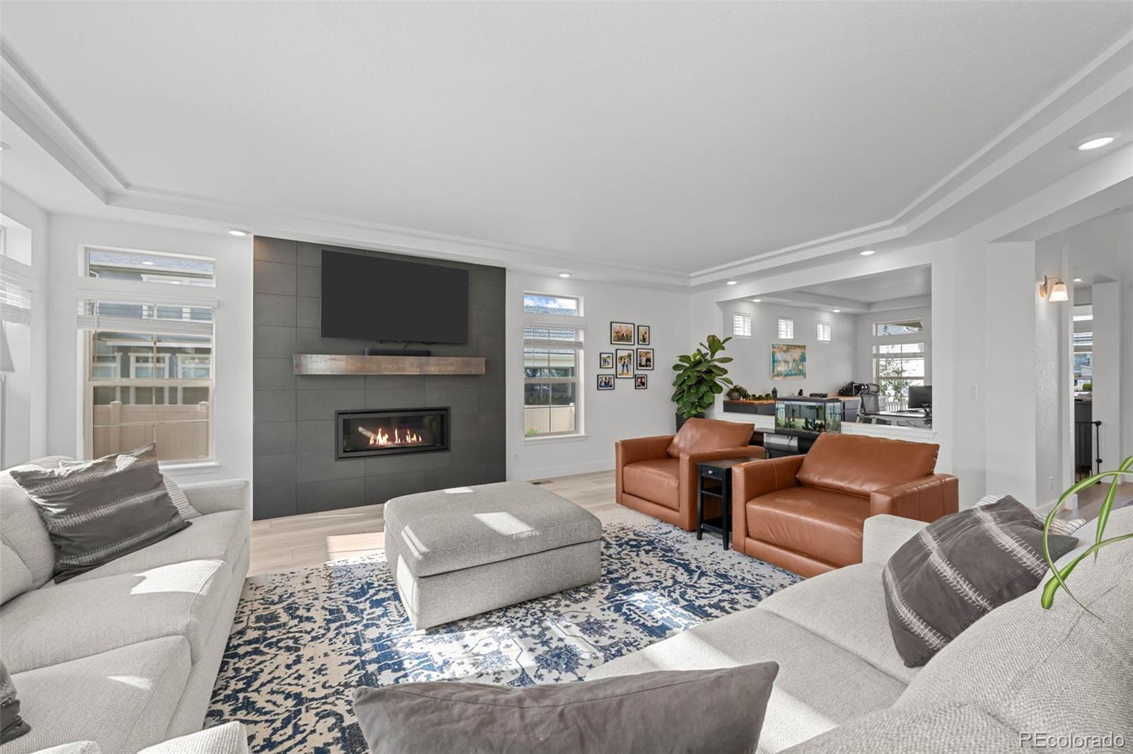 MLS Image #8 for 4984  jericho street,denver, Colorado