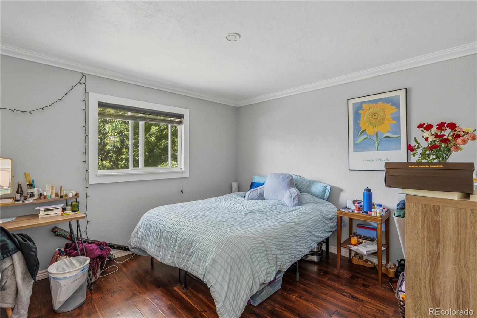 MLS Image #20 for 6507 s dexter street,centennial, Colorado