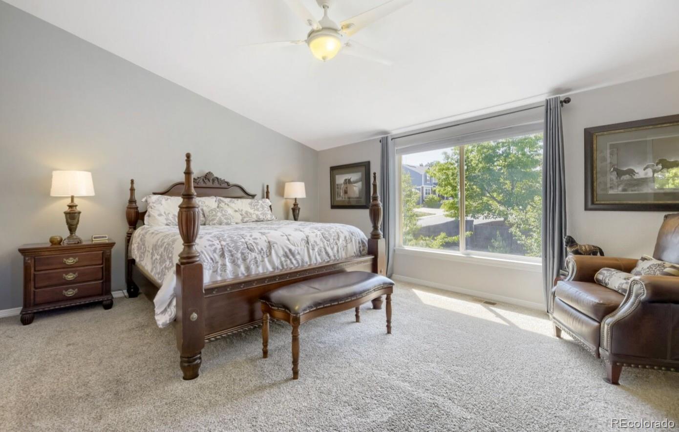 MLS Image #13 for 9940  candlewood lane,highlands ranch, Colorado