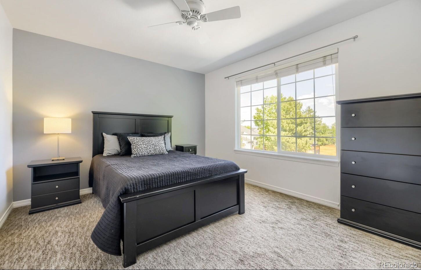 MLS Image #16 for 9940  candlewood lane,highlands ranch, Colorado