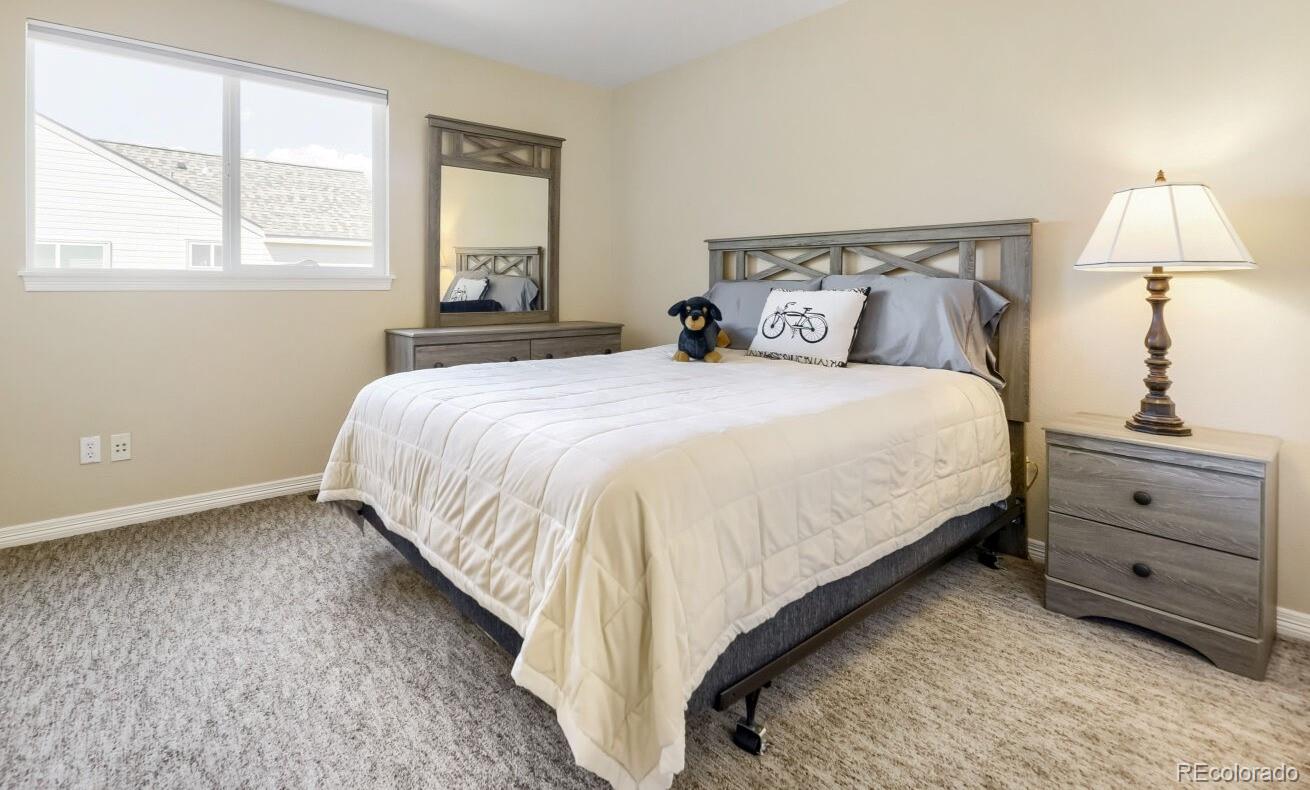 MLS Image #17 for 9940  candlewood lane,highlands ranch, Colorado
