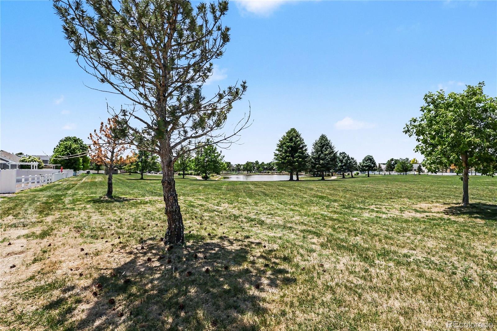 MLS Image #19 for 6304  burgundy street,evans, Colorado
