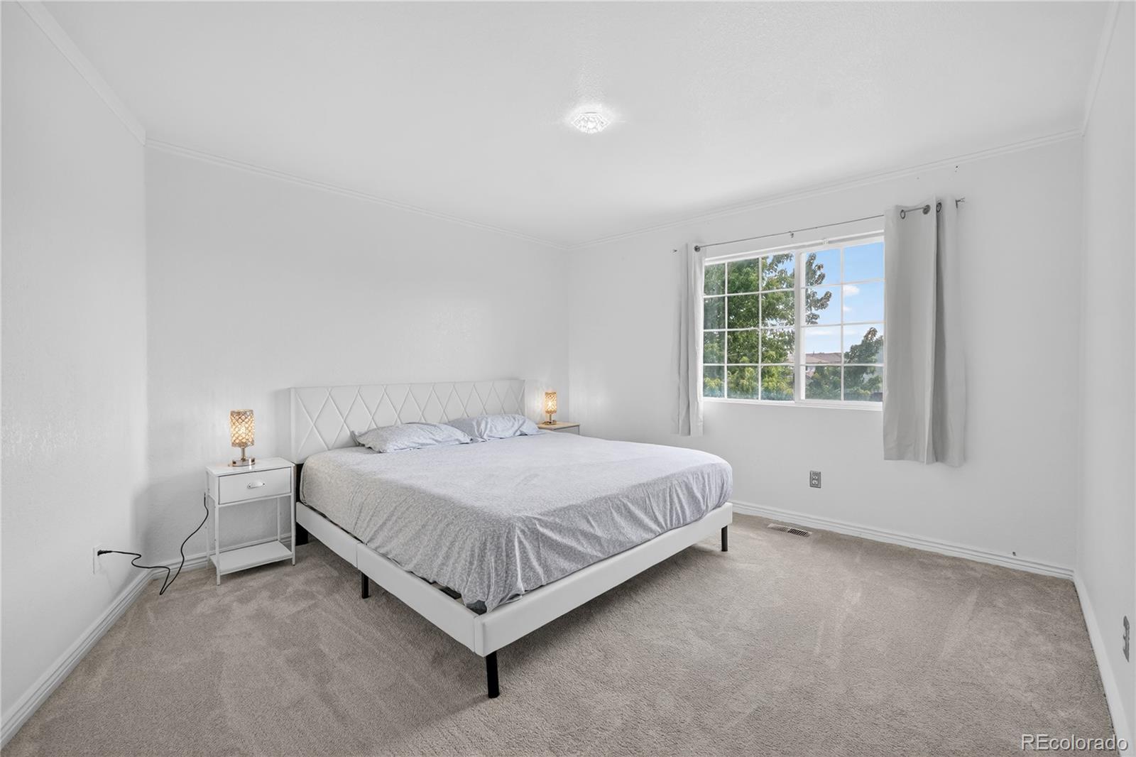 MLS Image #34 for 20604 e 38th place,denver, Colorado