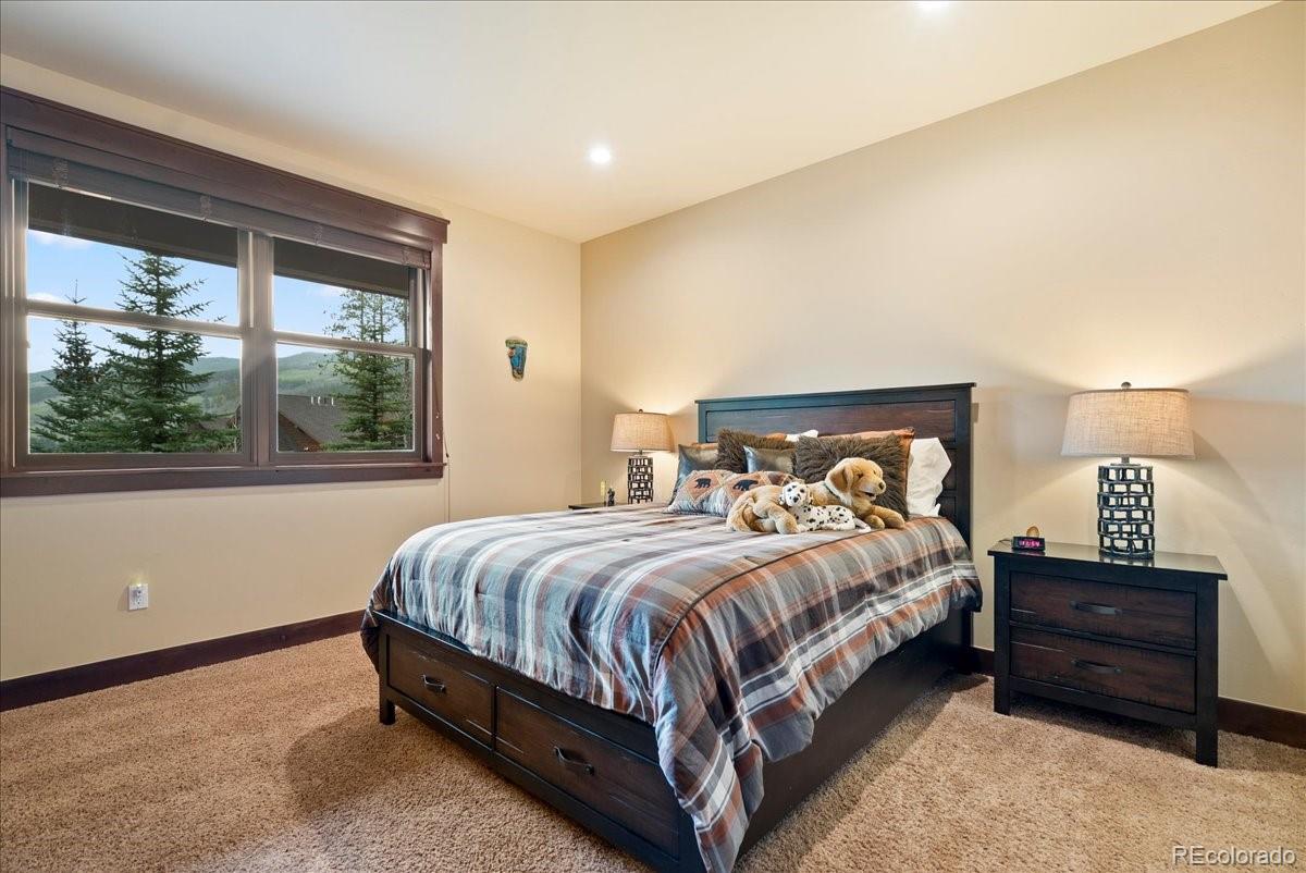 MLS Image #15 for 853  independence road,dillon, Colorado