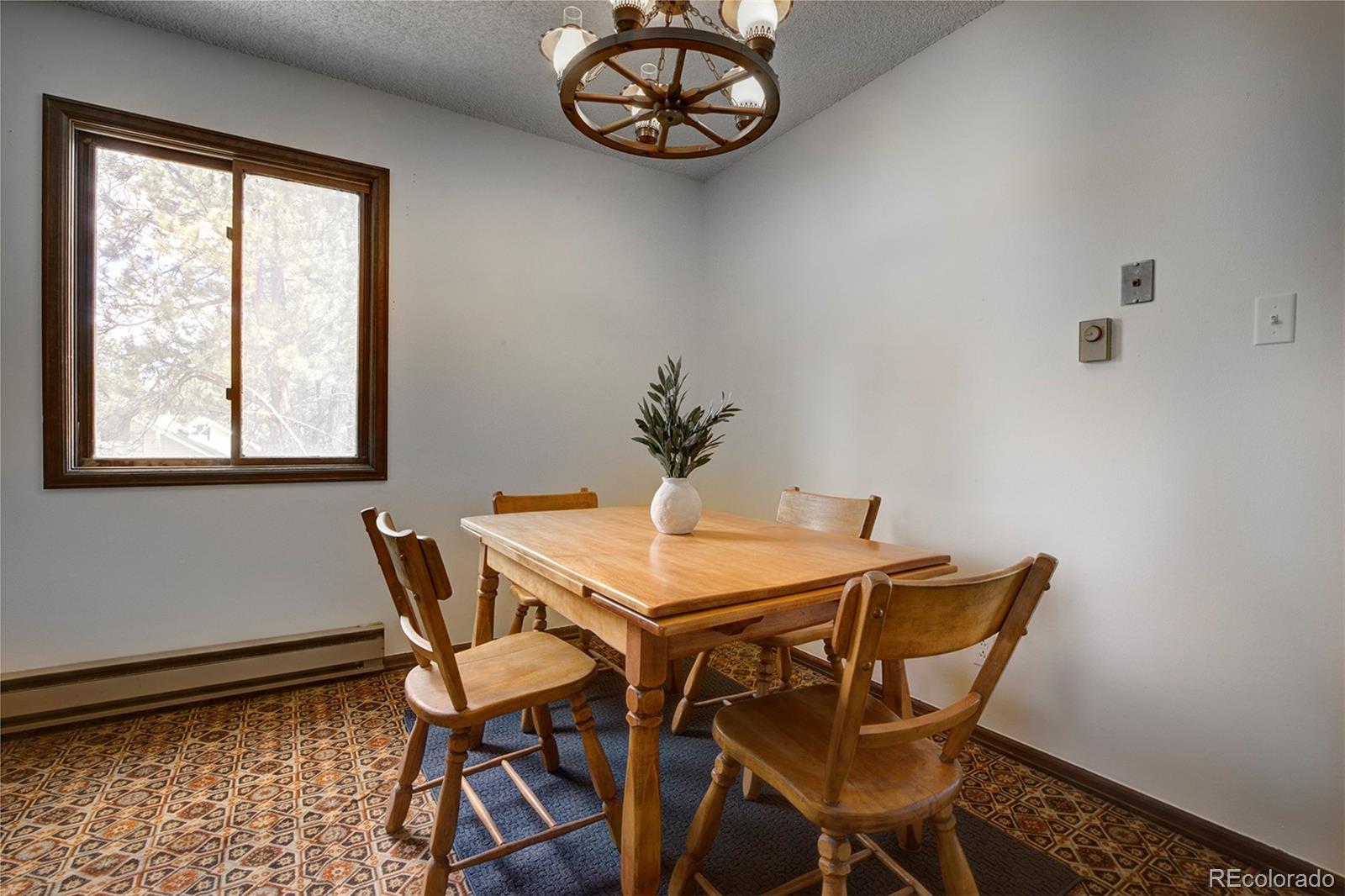 MLS Image #13 for 1899  roland drive,bailey, Colorado