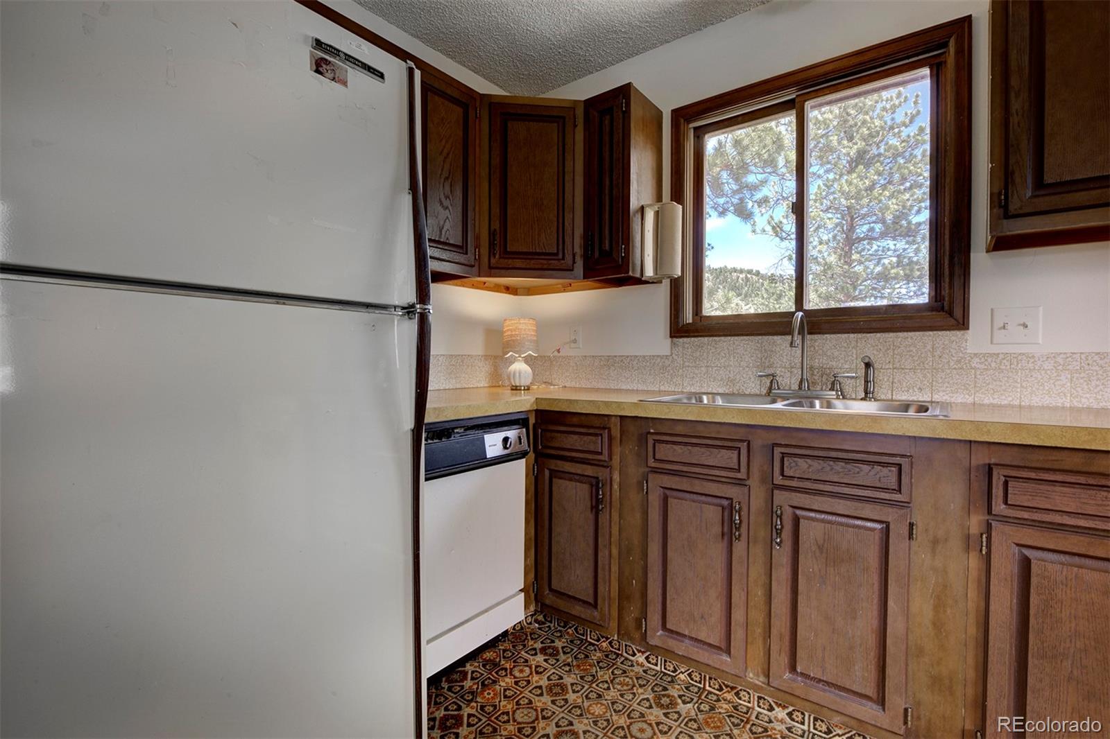 MLS Image #9 for 1899  roland drive,bailey, Colorado