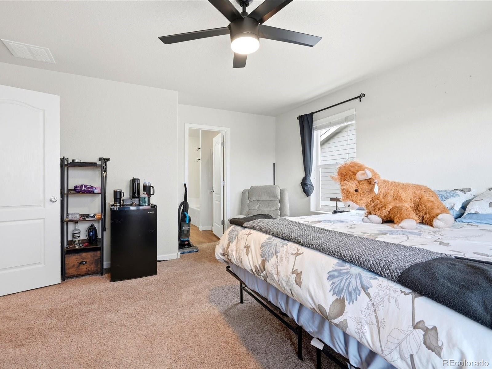 MLS Image #20 for 4727 e 95th drive,thornton, Colorado