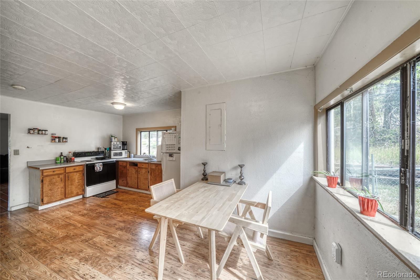 MLS Image #17 for 1705  delane street,leadville, Colorado