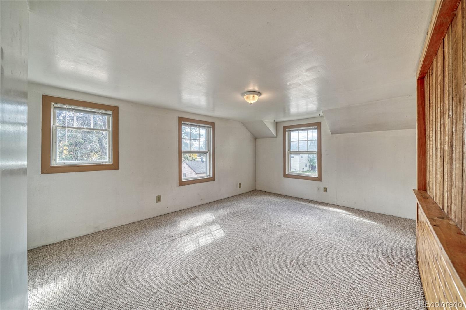 MLS Image #36 for 1705  delane street,leadville, Colorado