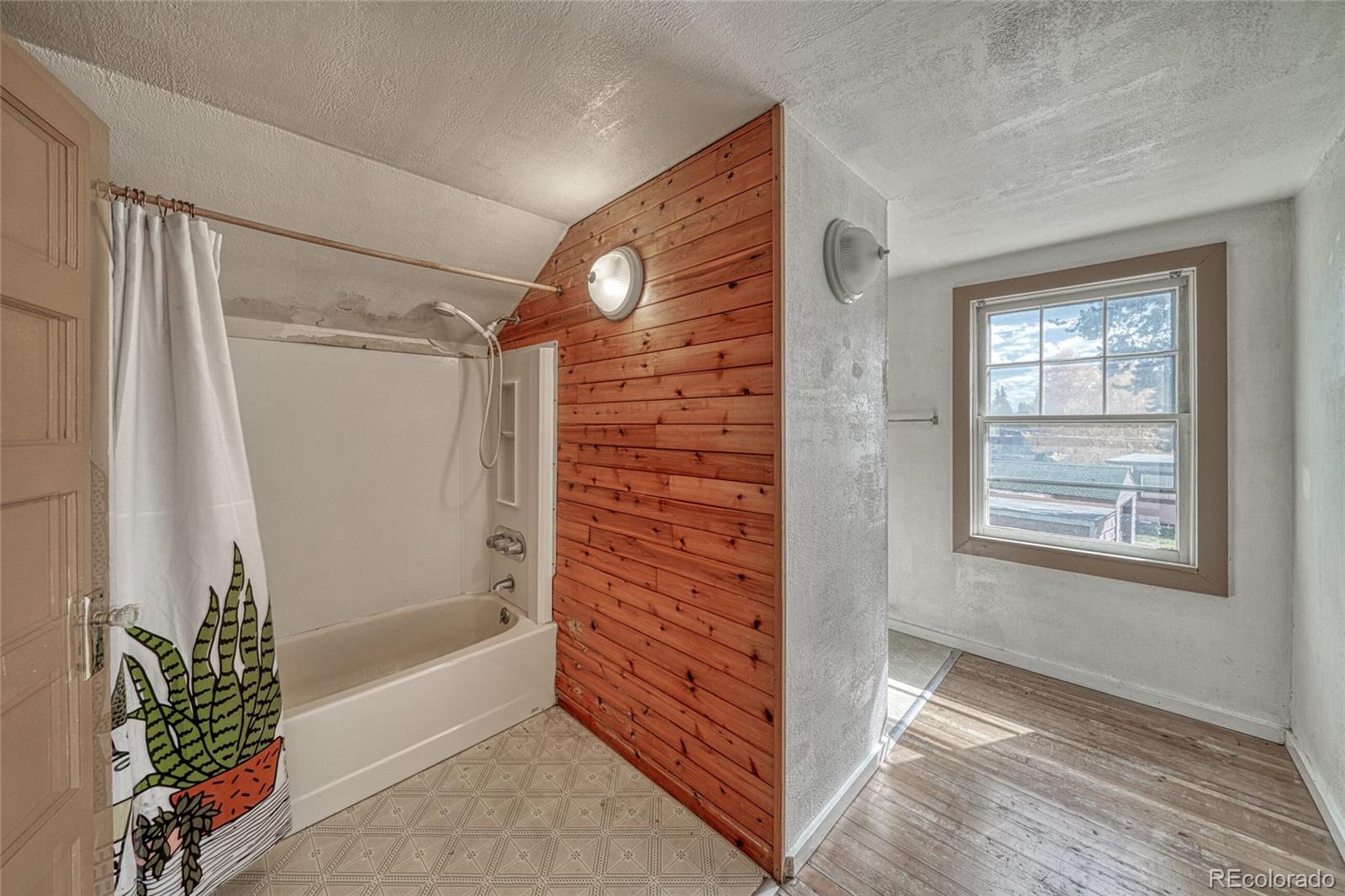 MLS Image #38 for 1705  delane street,leadville, Colorado