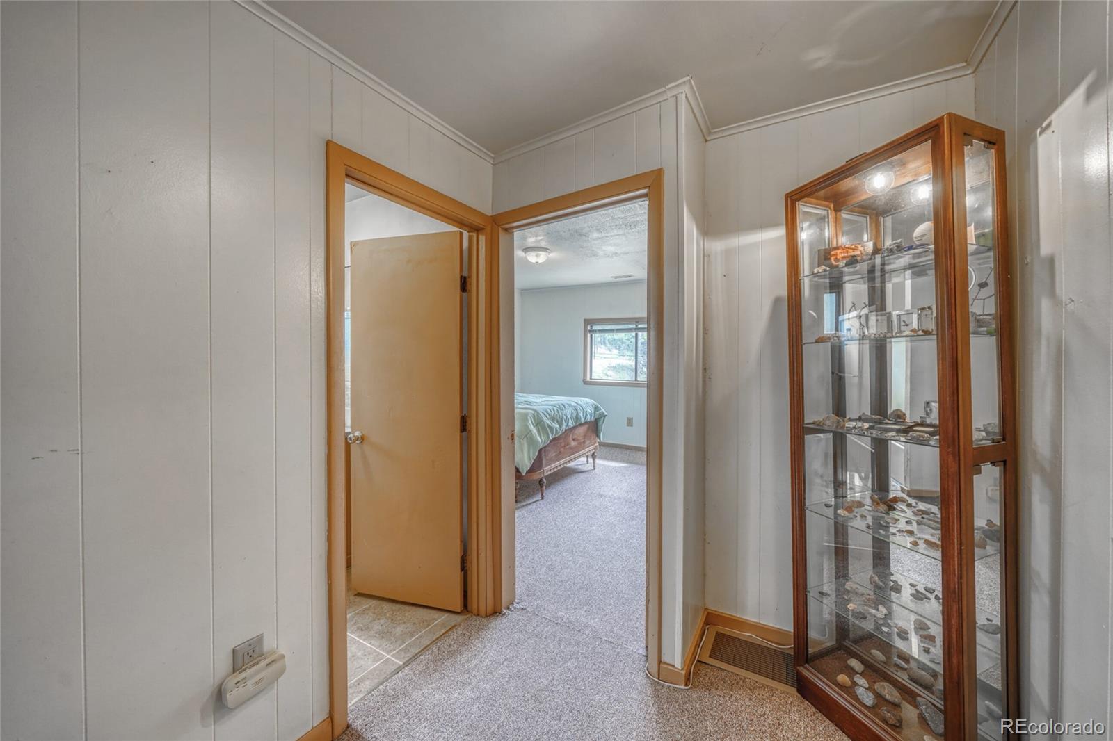 MLS Image #9 for 1705  delane street,leadville, Colorado