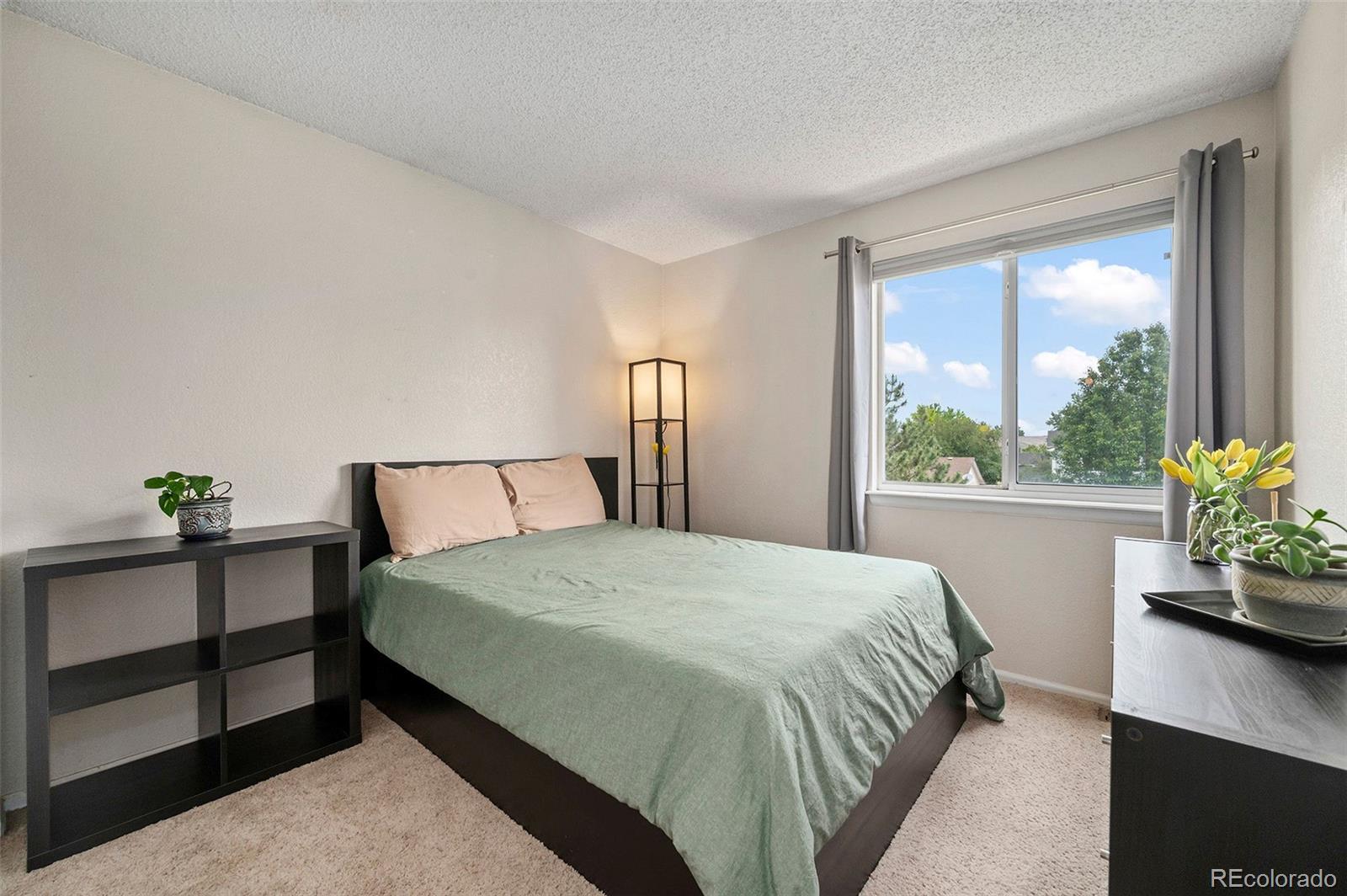 MLS Image #13 for 13320  raritan court,westminster, Colorado