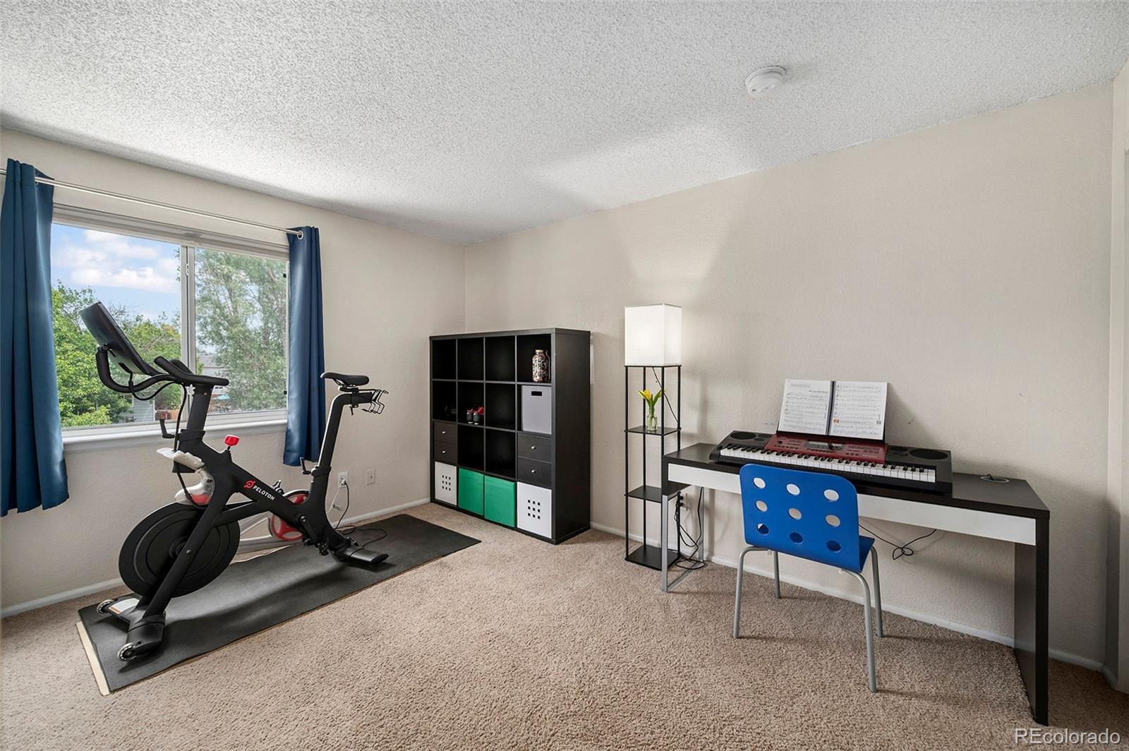 MLS Image #14 for 13320  raritan court,westminster, Colorado