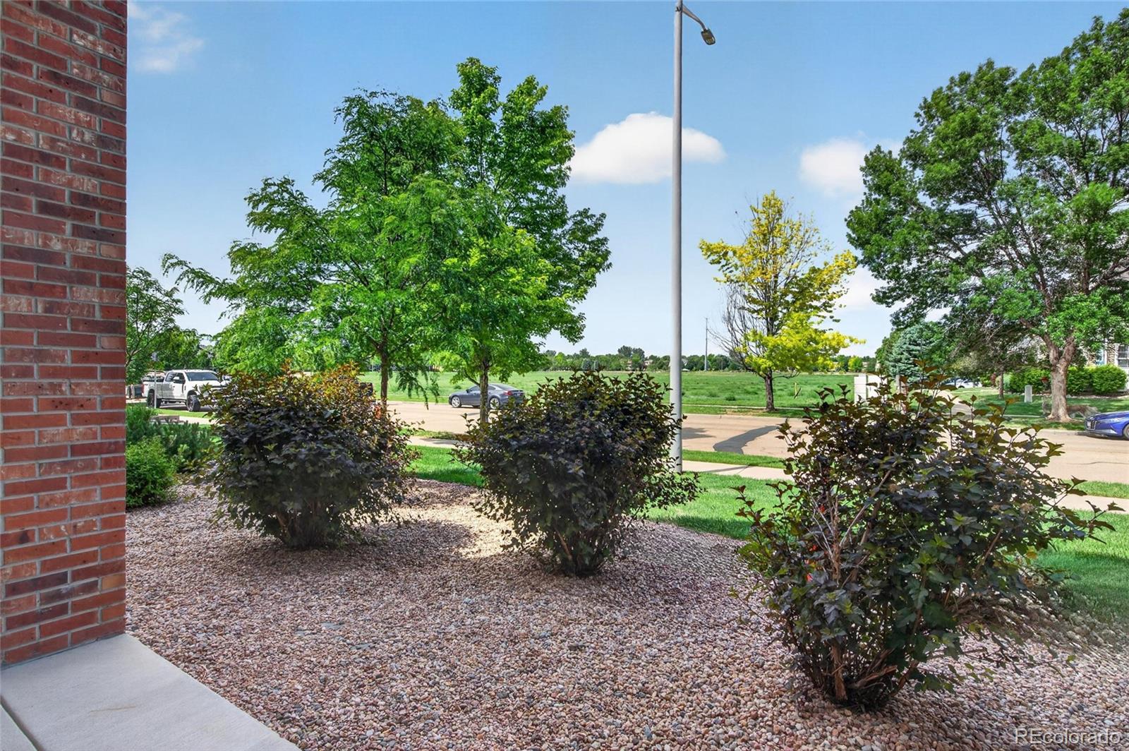 MLS Image #18 for 804  summer hawk drive,longmont, Colorado