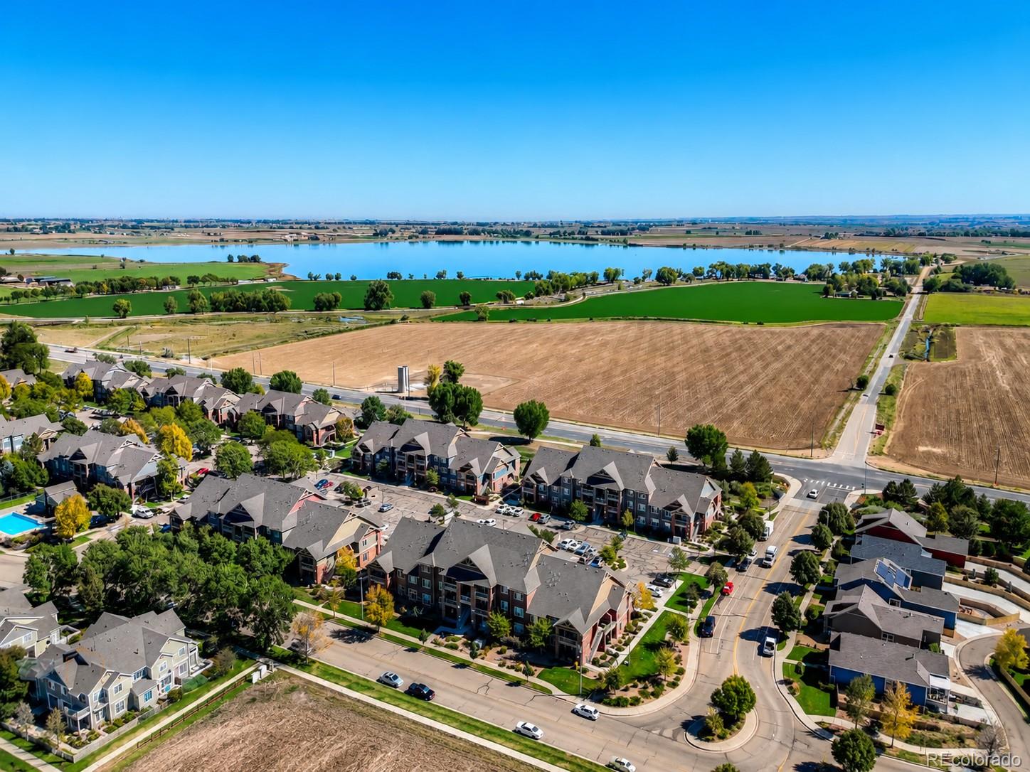MLS Image #5 for 804  summer hawk drive,longmont, Colorado