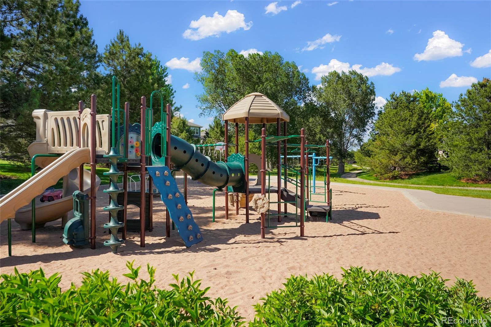 MLS Image #44 for 17193  opal hill drive,parker, Colorado