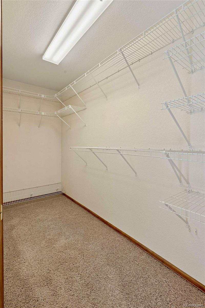 MLS Image #19 for 3445  starflower road,castle rock, Colorado