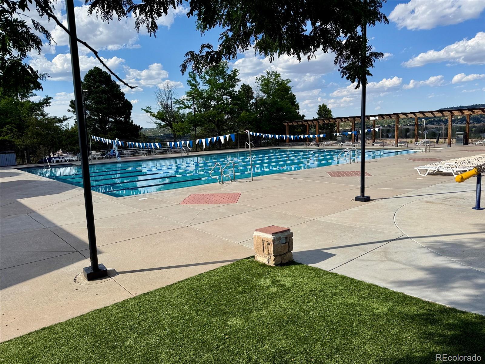 MLS Image #49 for 3445  starflower road,castle rock, Colorado