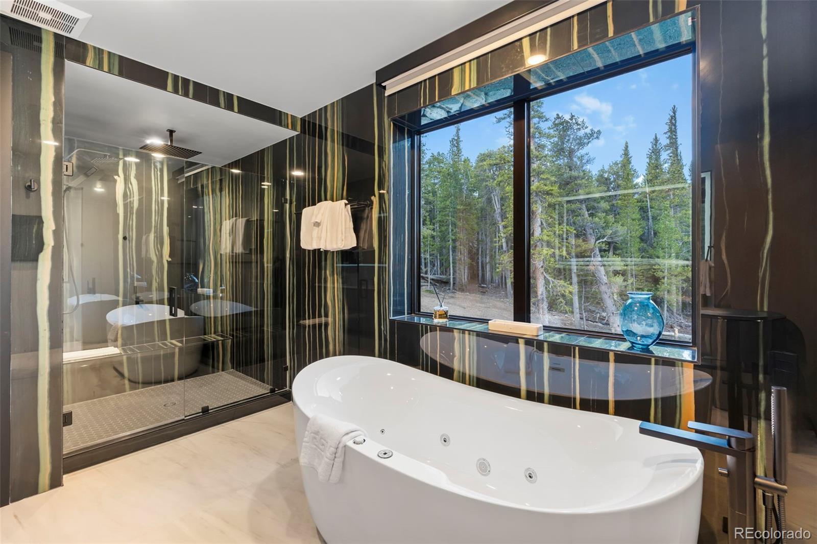 MLS Image #25 for 316 n fuller placer road,breckenridge, Colorado
