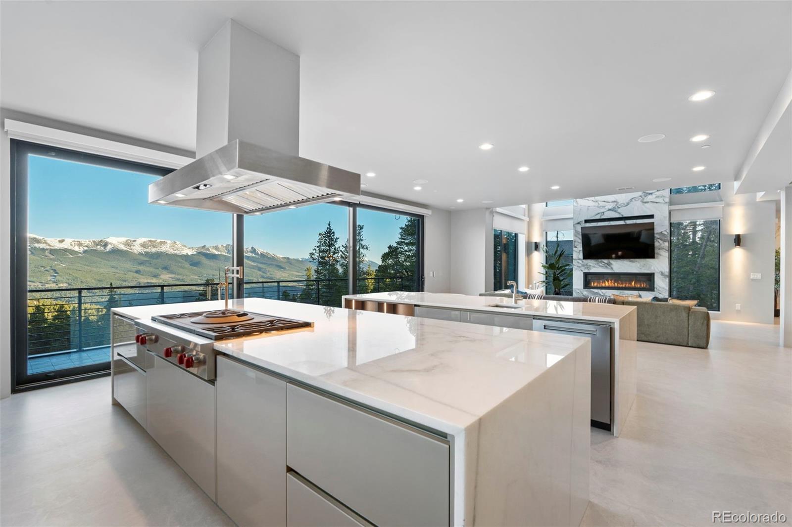 MLS Image #8 for 316 n fuller placer road,breckenridge, Colorado