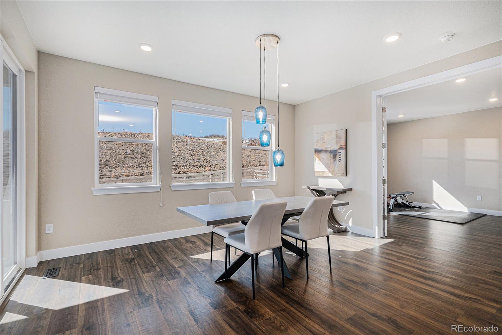 MLS Image #11 for 5381  hickory oaks trail,castle rock, Colorado